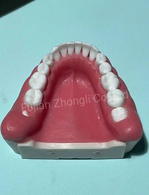 Good Quality Dental Model Wisdom Teeth Removal