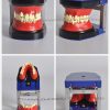 Cheap Orthodontic Practice Models for Students