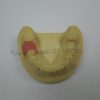 Dental Implant Material Bone Graft Implant for Suturing