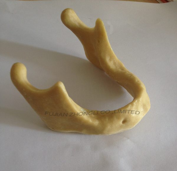 Dental Implant Manufacturers Supply Dental Drill Model