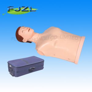 Half-Body CPR Training Manikin