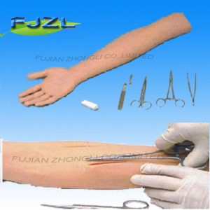 Surgical Suture Arm Model