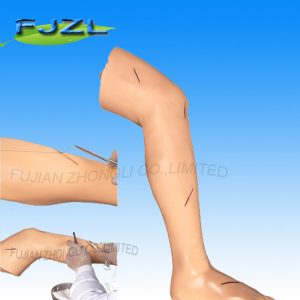 Surgical Suture Leg